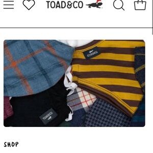 Toad & Co face masks organic cotton tencel 3 NWT